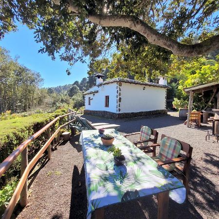 Finca Llano De La Cebolla Icod De Los Vinos Exteriör bild