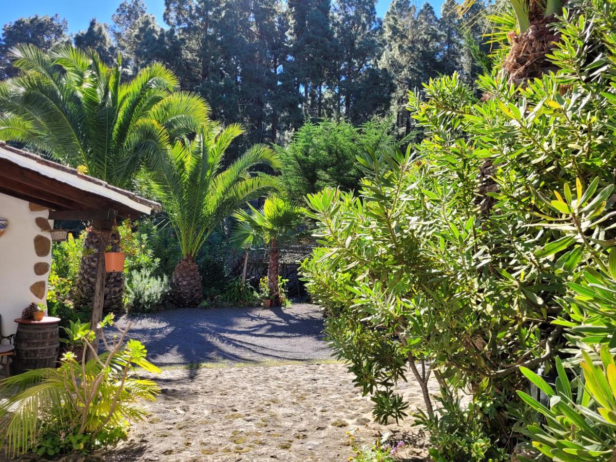 Finca Llano De La Cebolla Icod De Los Vinos Exteriör bild