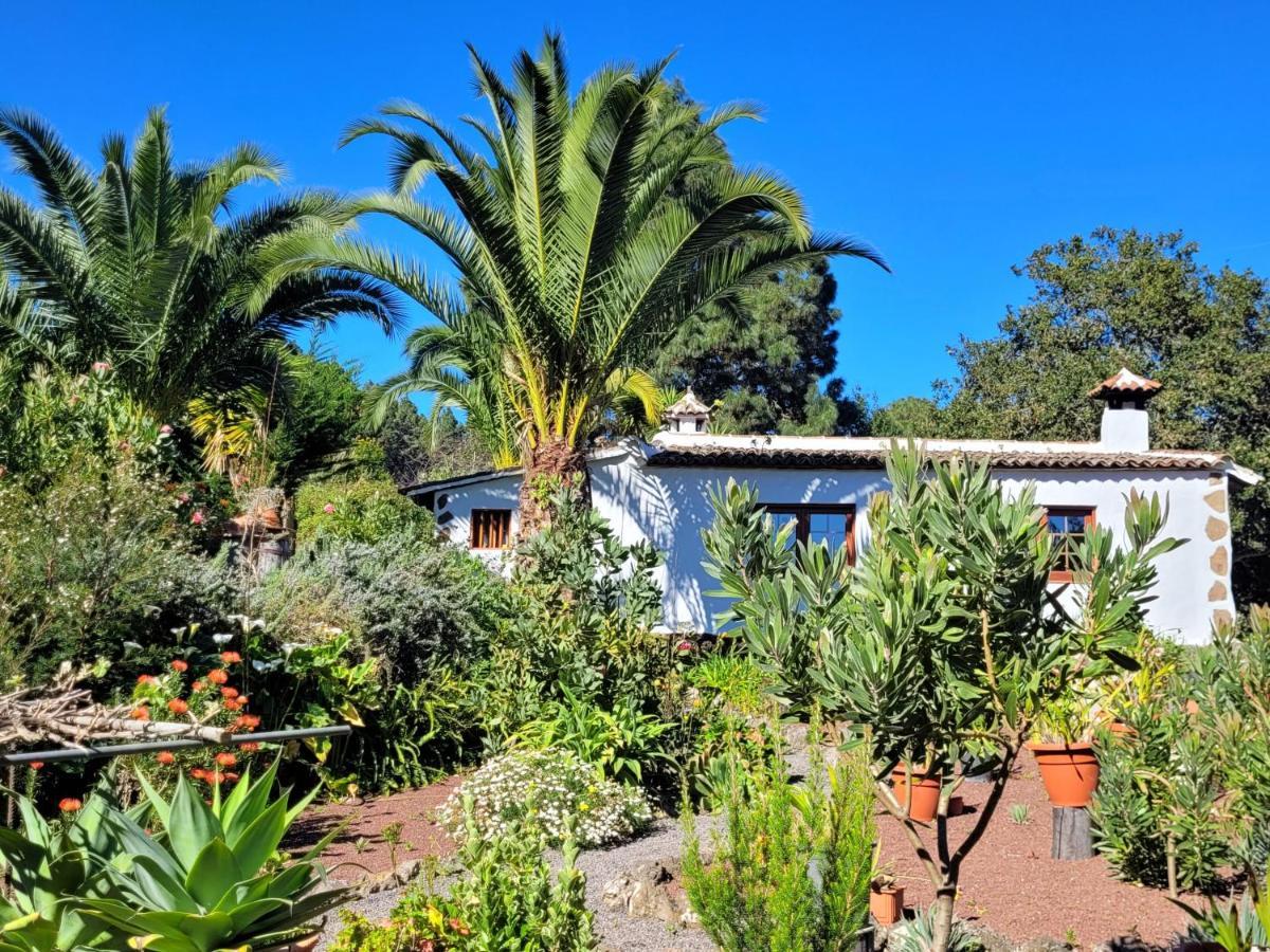 Finca Llano De La Cebolla Icod De Los Vinos Exteriör bild