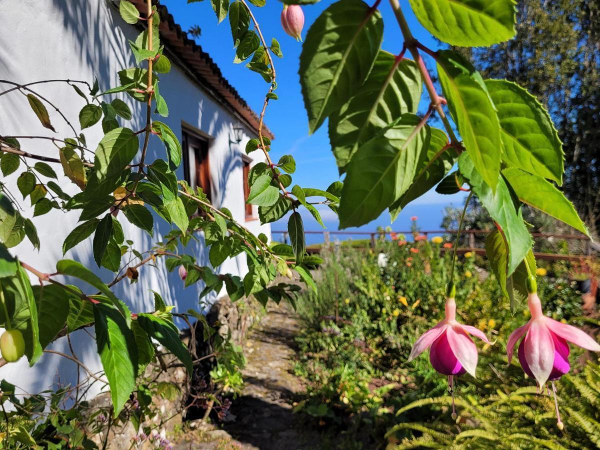 Finca Llano De La Cebolla Icod De Los Vinos Exteriör bild