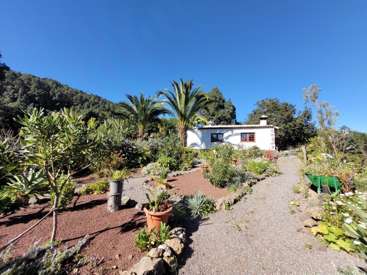 Finca Llano De La Cebolla Icod De Los Vinos Exteriör bild