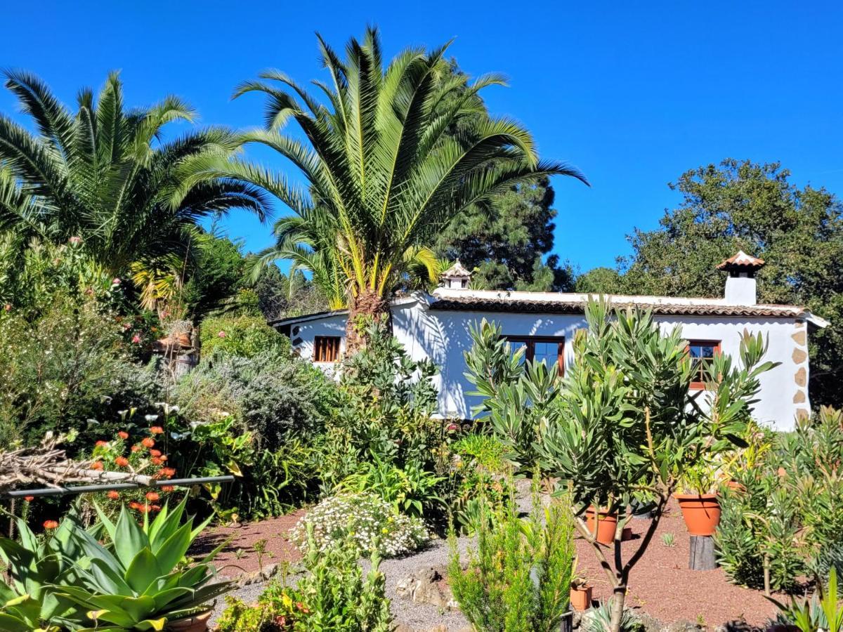 Finca Llano De La Cebolla Icod De Los Vinos Exteriör bild