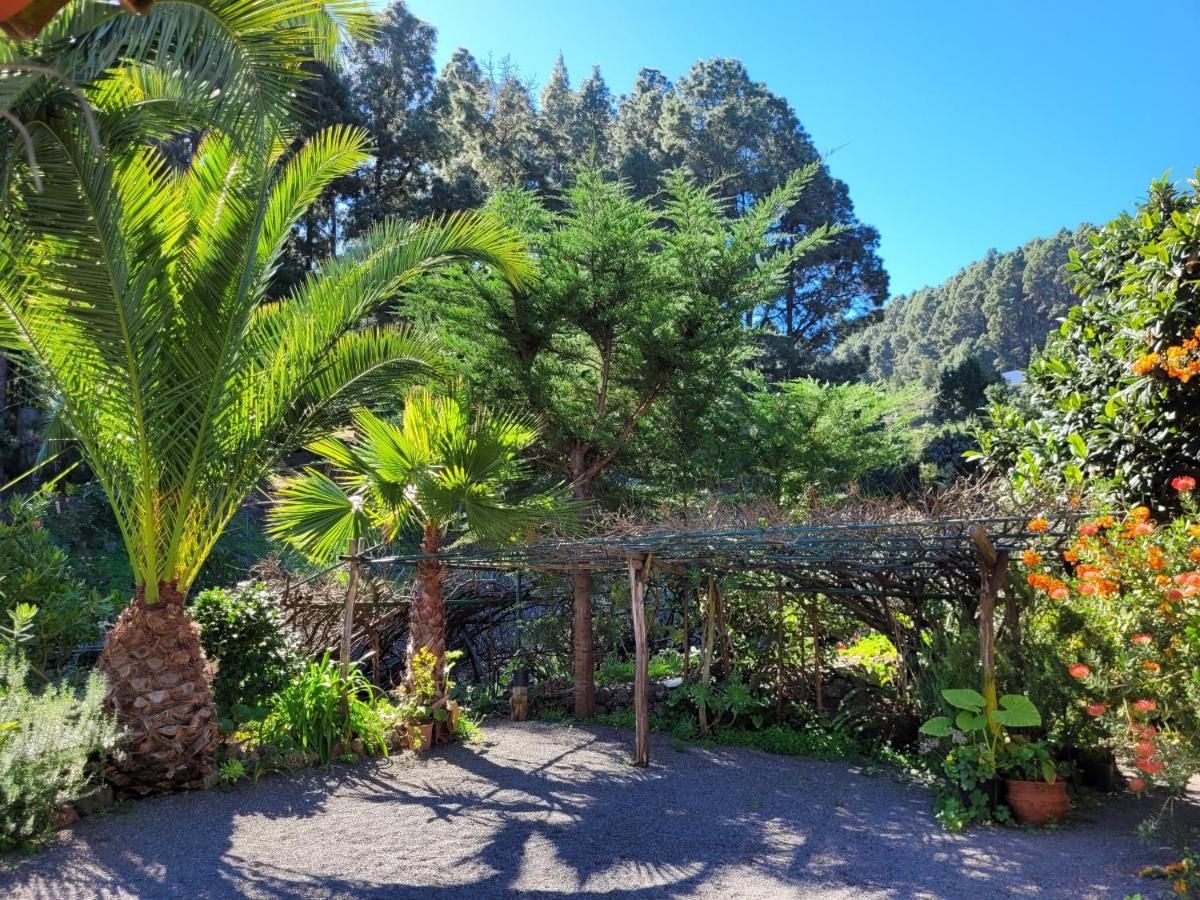 Finca Llano De La Cebolla Icod De Los Vinos Exteriör bild